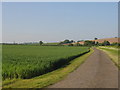 Driveway to Harrods Farm