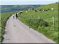 Bridleway northwest of Ashley Chase Dairy