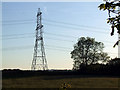 Pylon in the field