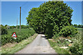 Country lane east of West Meon