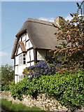 SP6504 : Cottage and garden, Tiddington by David Hawgood