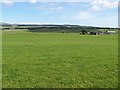 Grassy Field Looking Towards Mid Cambushinnie