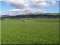 Ochil Hills with the Roofs of Loig Farm