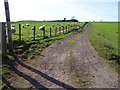 Track to Faulds Farm