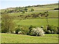 View over the valley of the Black Brook from Crow Wood Lane, Barkisland