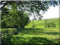 Open Farmland at Cumberhill