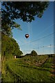 Balloon over SU7531 and the orchard in this grid.