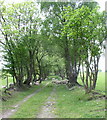 Footpath in Llanelidan