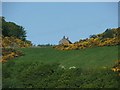 Cottage in the Hills