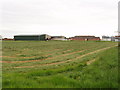 Newly mown grass and Ventfield Farm, Horton-cum-Studley