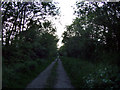 Narrow lane at Twll y Clawdd