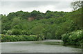 River Avon above Conham