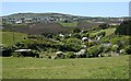 Cross Coombe from the Valley Head