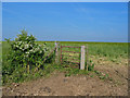 SU0218 : Bridleway gate Pentridge Dorset by Clive Perrin