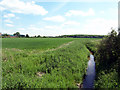 Looking towards Howsham Barff Wood