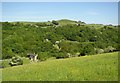 View over the Black Brook valley, Barkisland