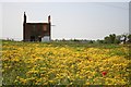 Derelict building