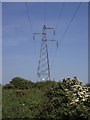 Pylon at Trevarnon