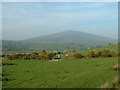 Farmland, looking towards Mynydd Graig Goch