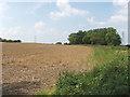 Stubble field, Peggs Farm, Haseley