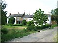 Terraced cottages, Northall - with cat