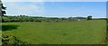 Looking Towards Bryn Ddol from Bryn Poeth, Llangoed, Anglesey.