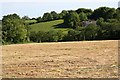 SX4779 : Cut Hay Meadow by Tony Atkin