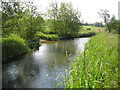 River Thame near Nether Winchendon