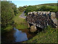 Bridge and Belted Galloways