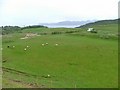 Fields Off the Glengorm Road