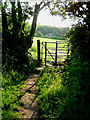 The Ridgeway near Wigginton