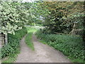 Footpath To Blaxton Common