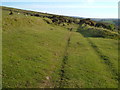 Two Moors Way near Cator