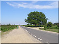 Entrance to Broomy Walk car park, New Forest