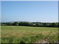 Farmland at Pen y Cefn