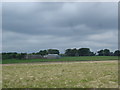 Easterseat Farm with wind turbines in the background