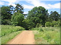 Driveway to Old Lodge Farm