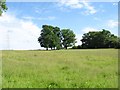 Fields, trees and pylons