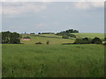 SP6711 : Fields with views towards Chilton by David Hawgood
