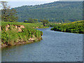 The River Forth