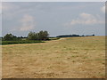 Mown hay field near Long Crendon