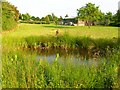 Pond and barn, near William