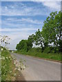 Country Lane at SE789693