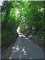 Sunken lane between Great Waldingfield and Edwardstone