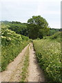 Highwood Bottom, near Speen