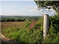 Fields near Halamanning