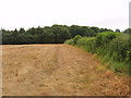 Stubble field and Chesham Bois Wood