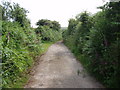 Track from Tregonning Farm to Tregonning Hill