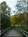 Footbridge, Allan Water