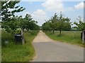 Driveway to Great Southwood Park Farm